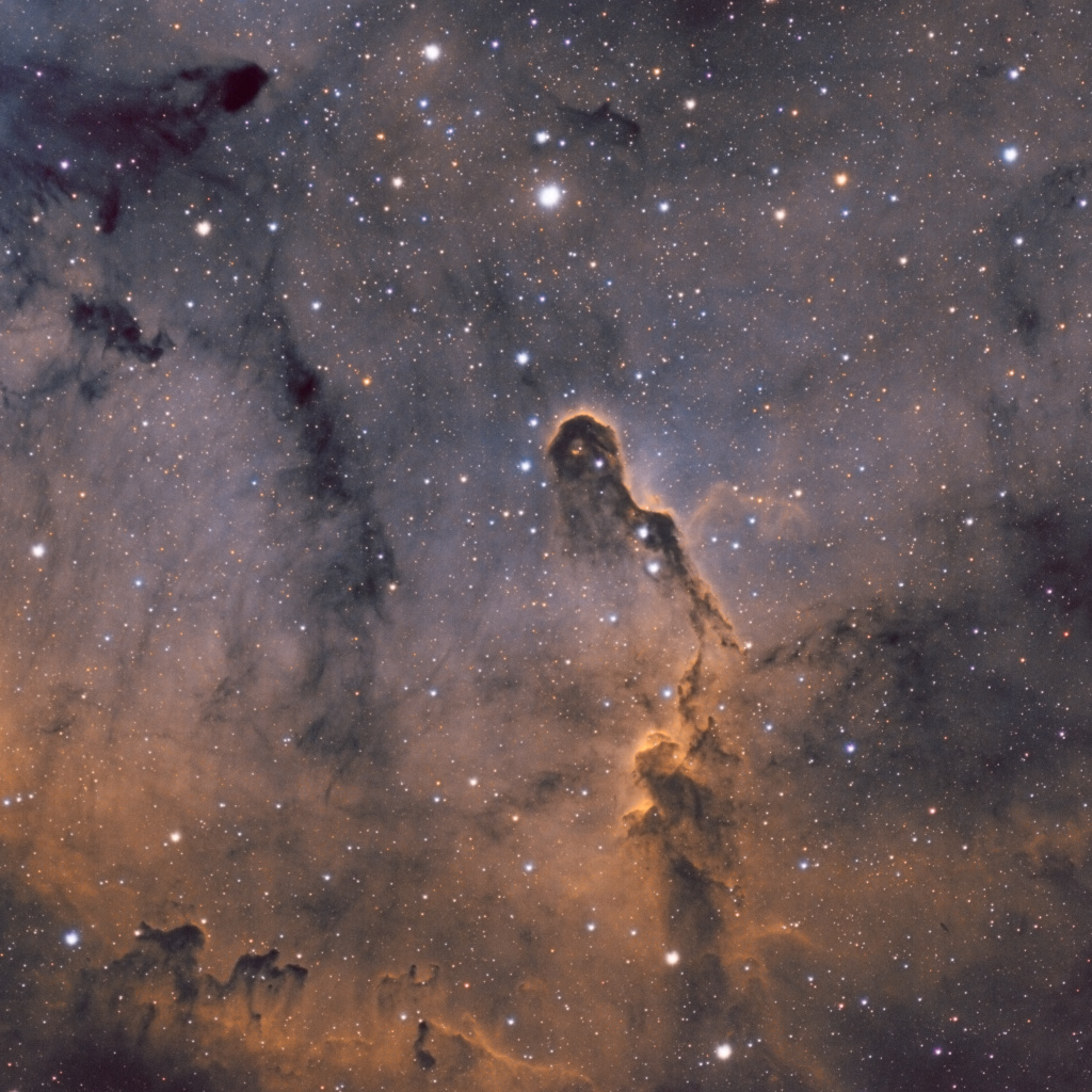 IC1396