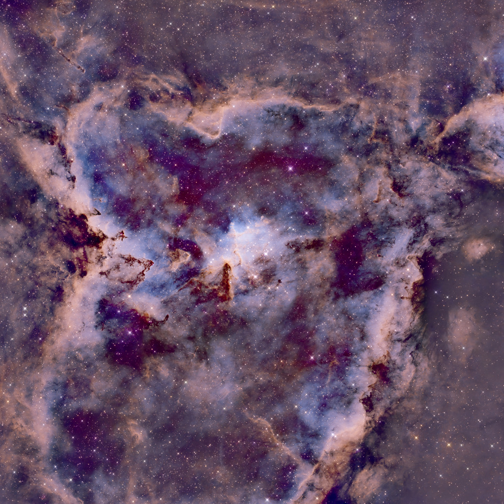 Latest image